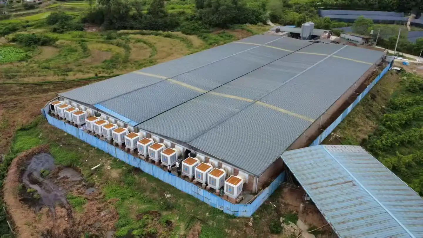 2万头生猪场猪场降温