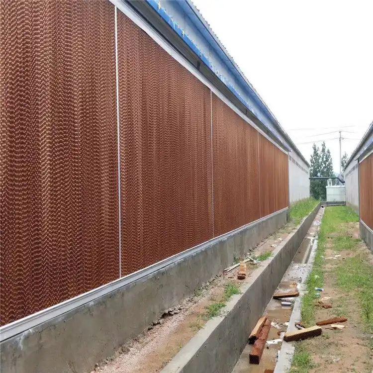 养殖场实拍降温水帘墙案例